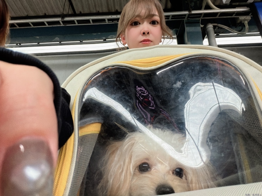 新着女の子ブログ画像