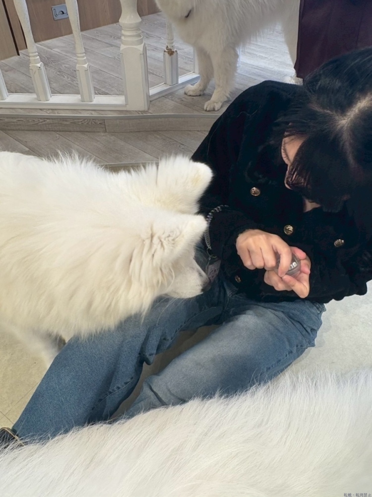 女の子ブログ画像