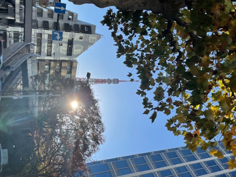 スタッフブログ画像