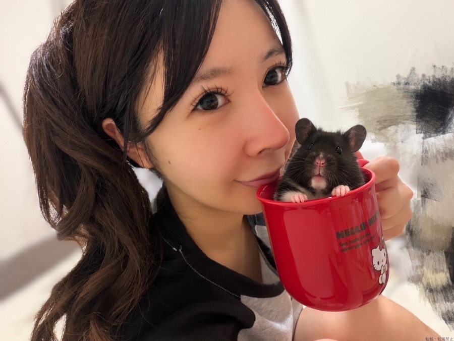 女の子ブログ画像