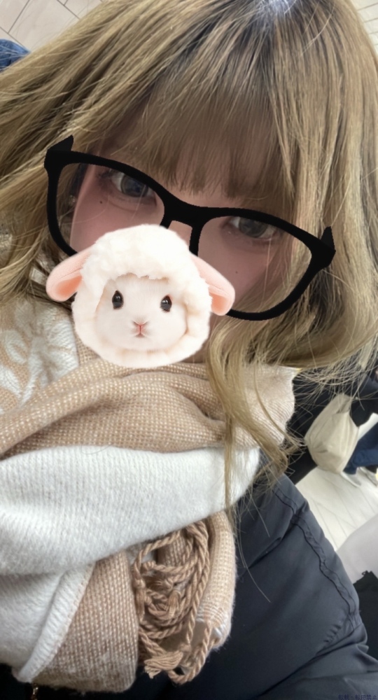 新着女の子ブログ画像