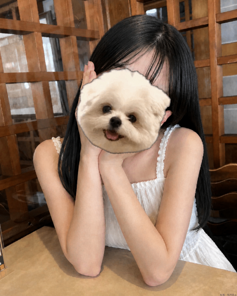 女の子ブログ画像
