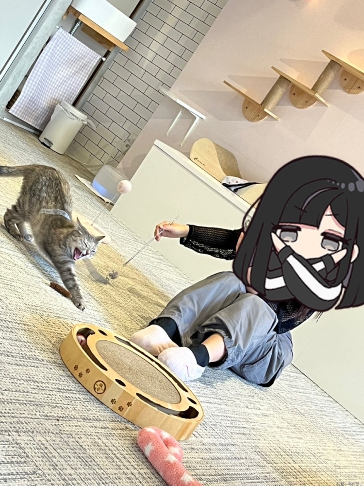 女の子ブログ画像