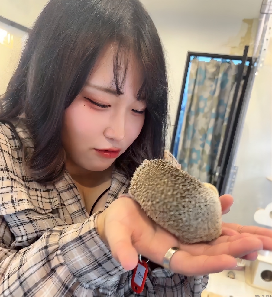 女の子ブログ画像