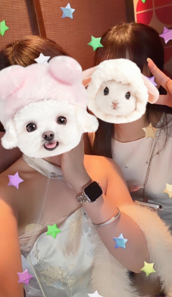 女の子ブログ画像