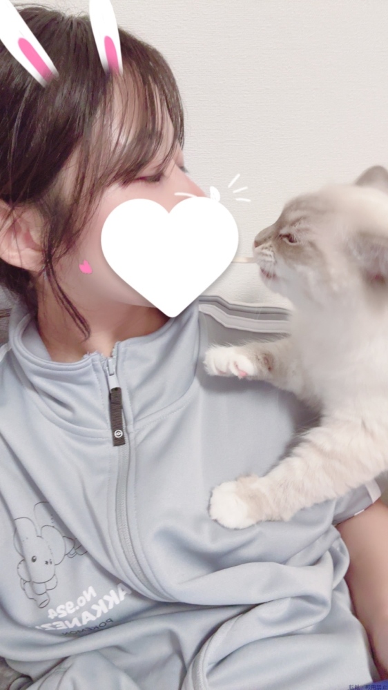 新着女の子ブログ画像