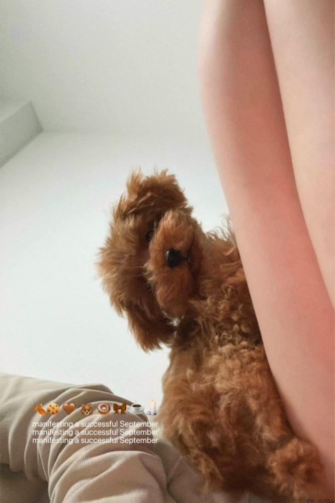 女の子ブログ画像