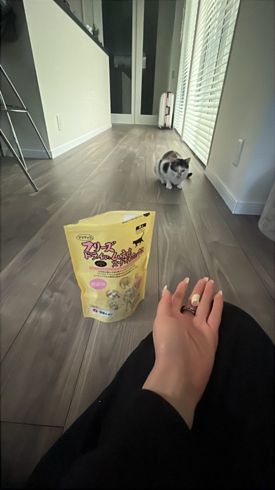 新着女の子ブログ画像