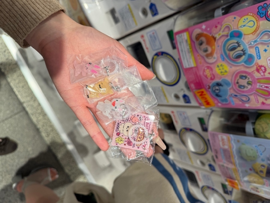 新着女の子ブログ画像