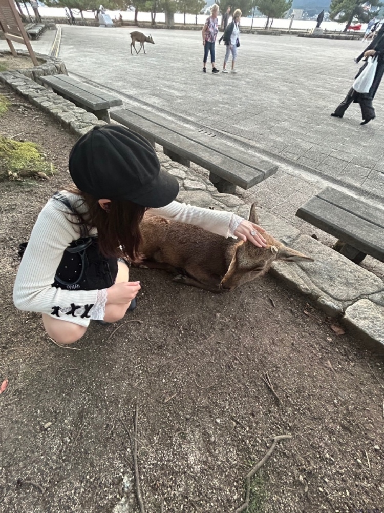 女の子ブログ画像