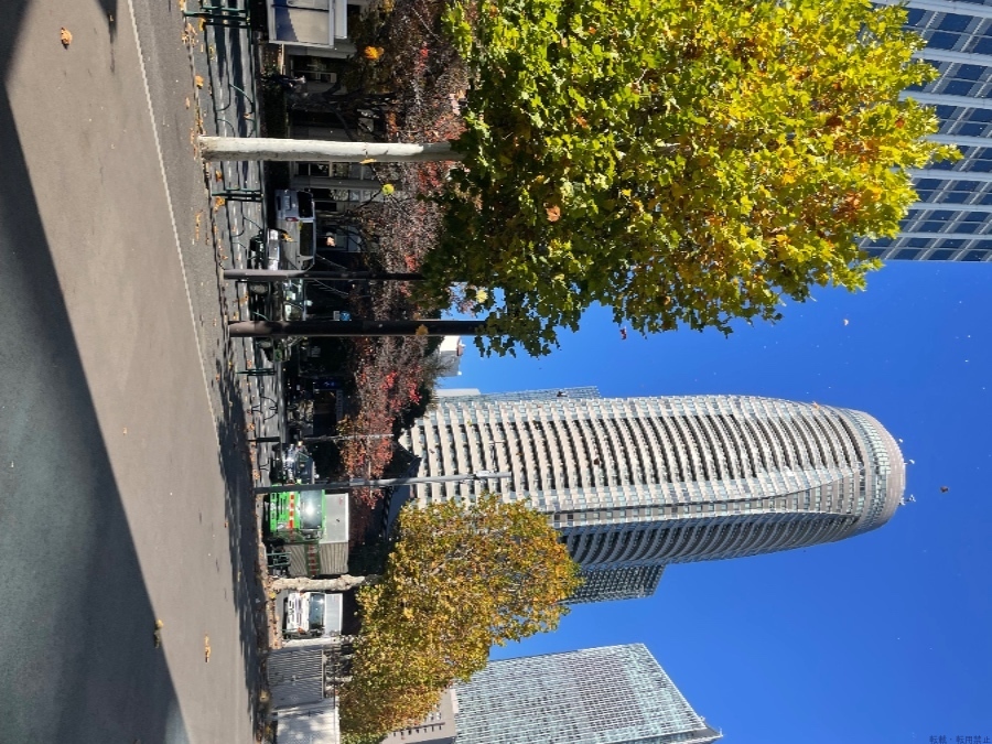 スタッフブログ画像