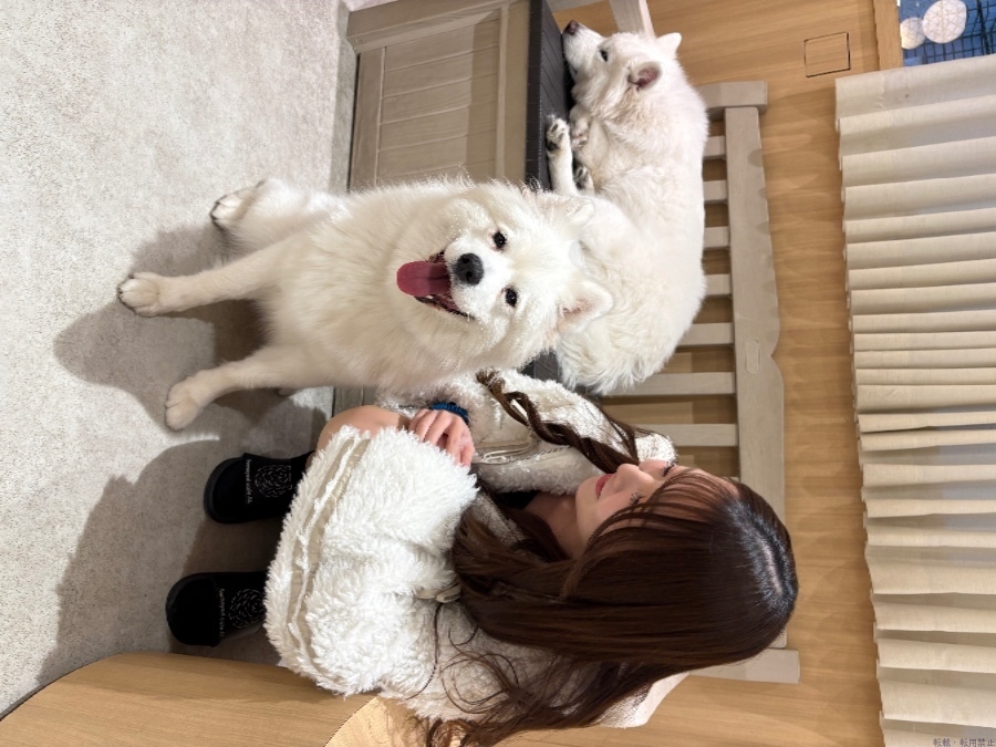 女の子ブログ画像