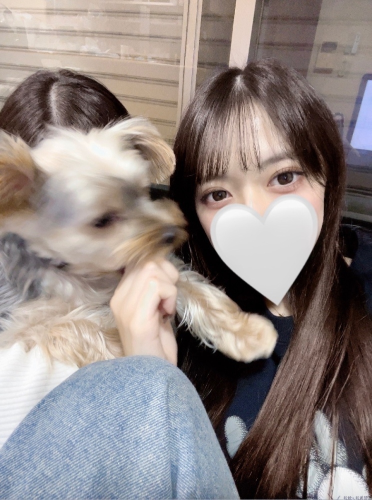 女の子ブログ画像