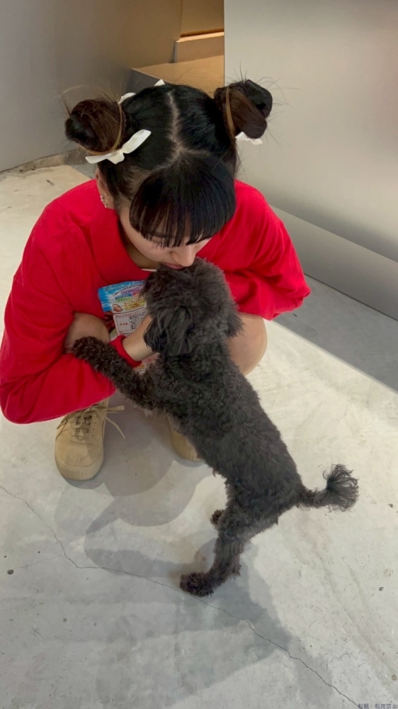 女の子ブログ画像