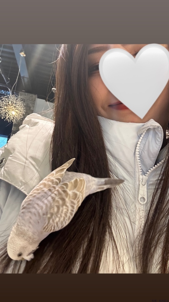 女の子ブログ画像