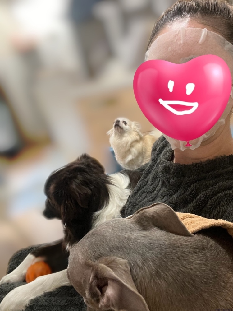 女の子ブログ画像