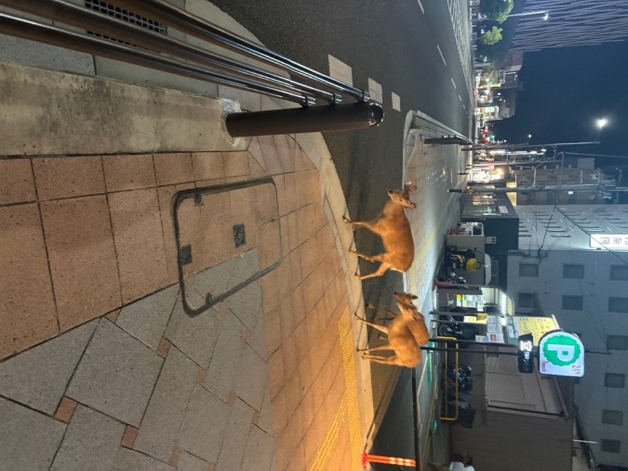 スタッフブログ画像