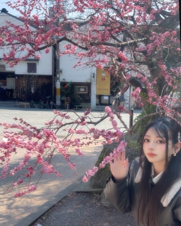 女の子ブログ画像