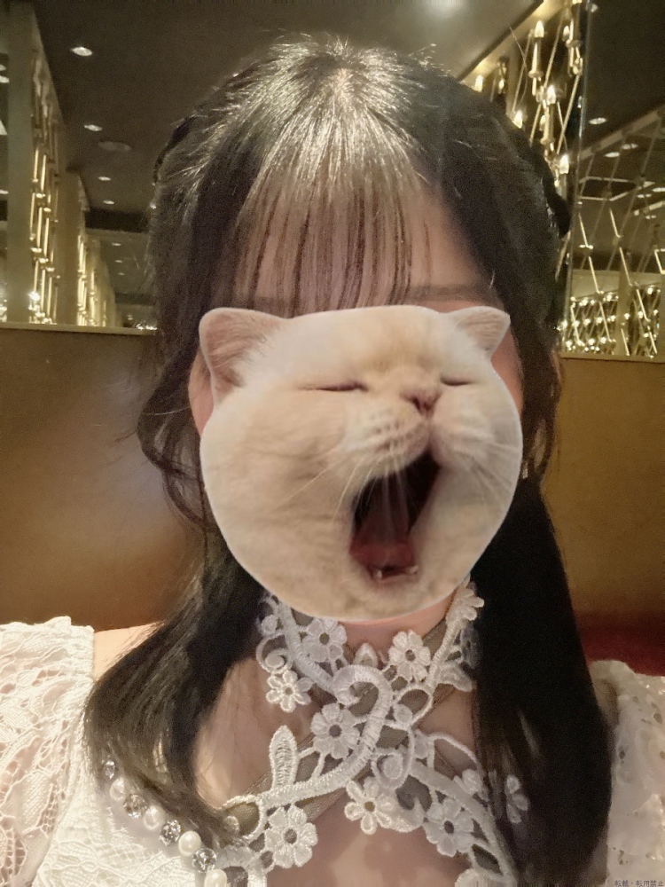 スタッフブログ画像