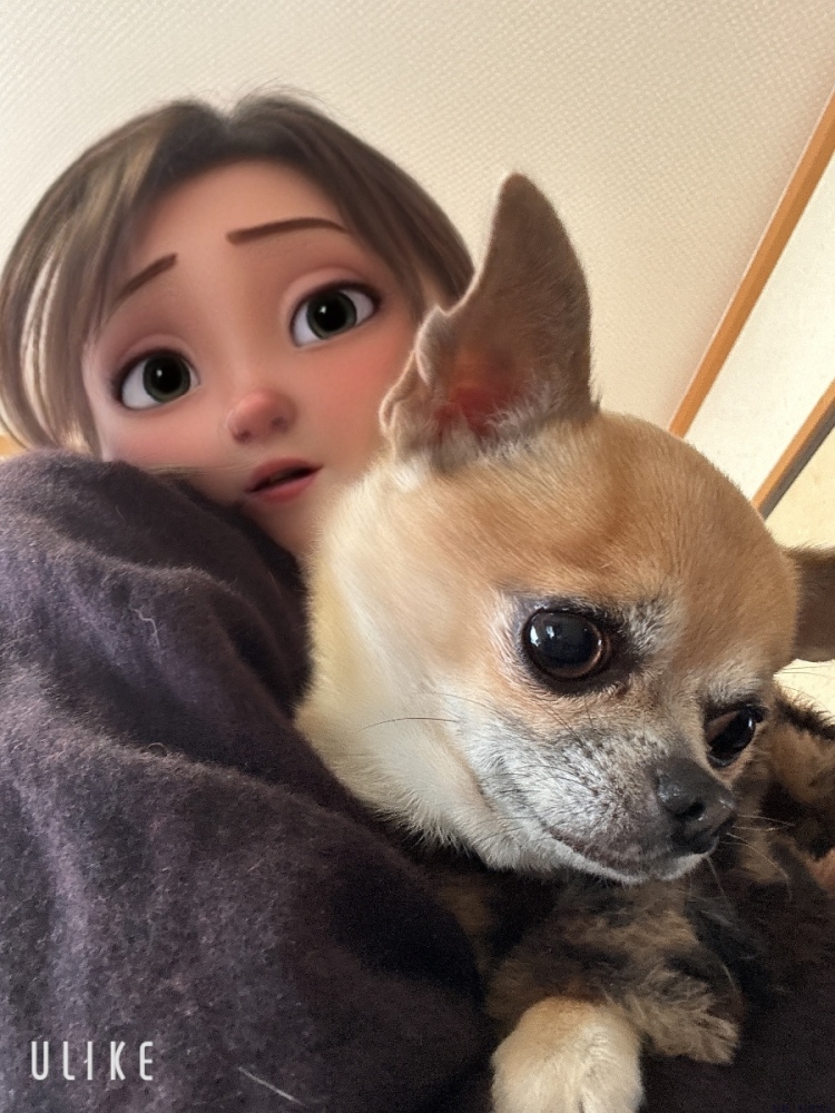 女の子ブログ画像