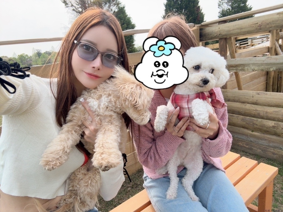 女の子ブログ画像