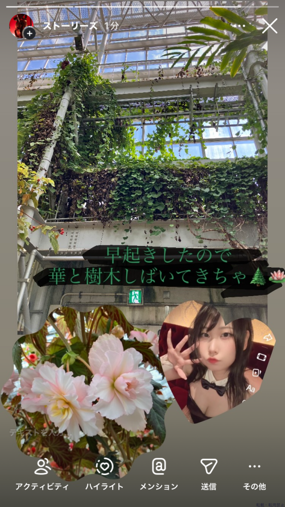 女の子ブログ画像
