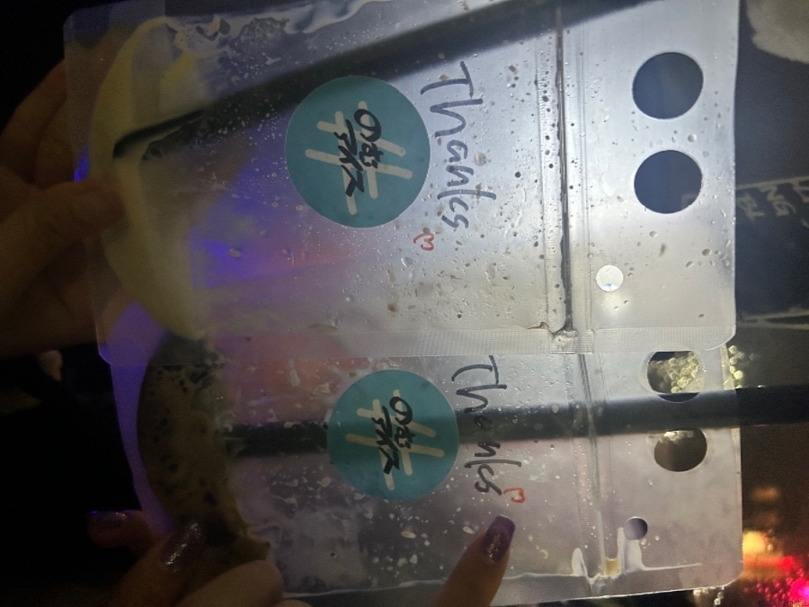 新着女の子ブログ画像