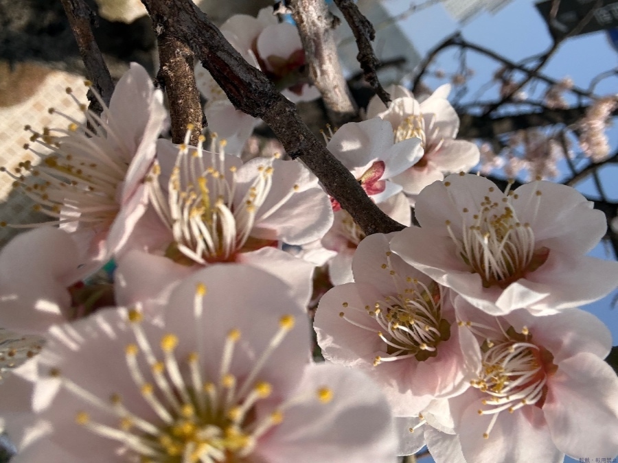 新着女の子ブログ画像