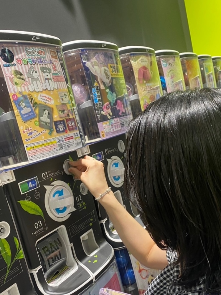 新着女の子ブログ画像