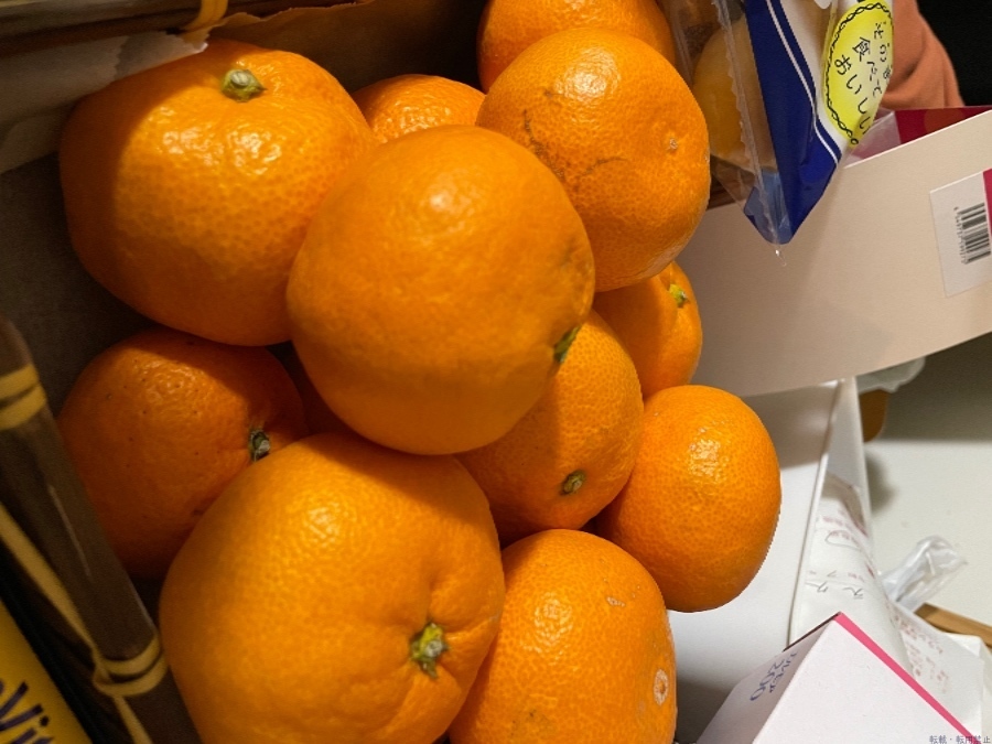 スタッフブログ画像