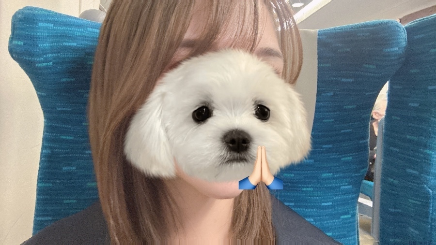 新着女の子ブログ画像