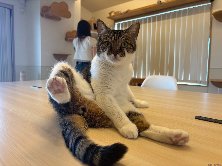 新着女の子ブログ画像