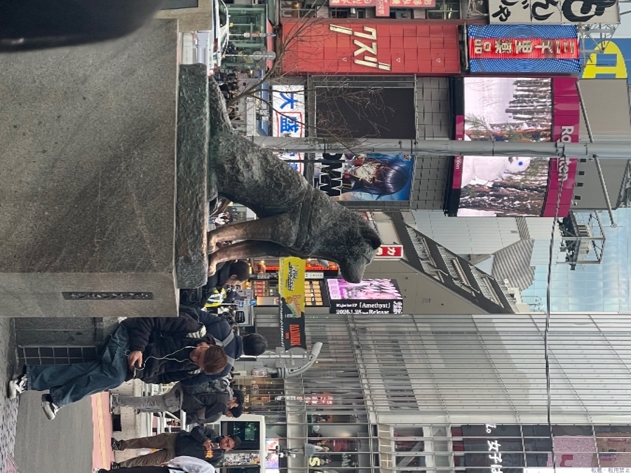 スタッフブログ画像