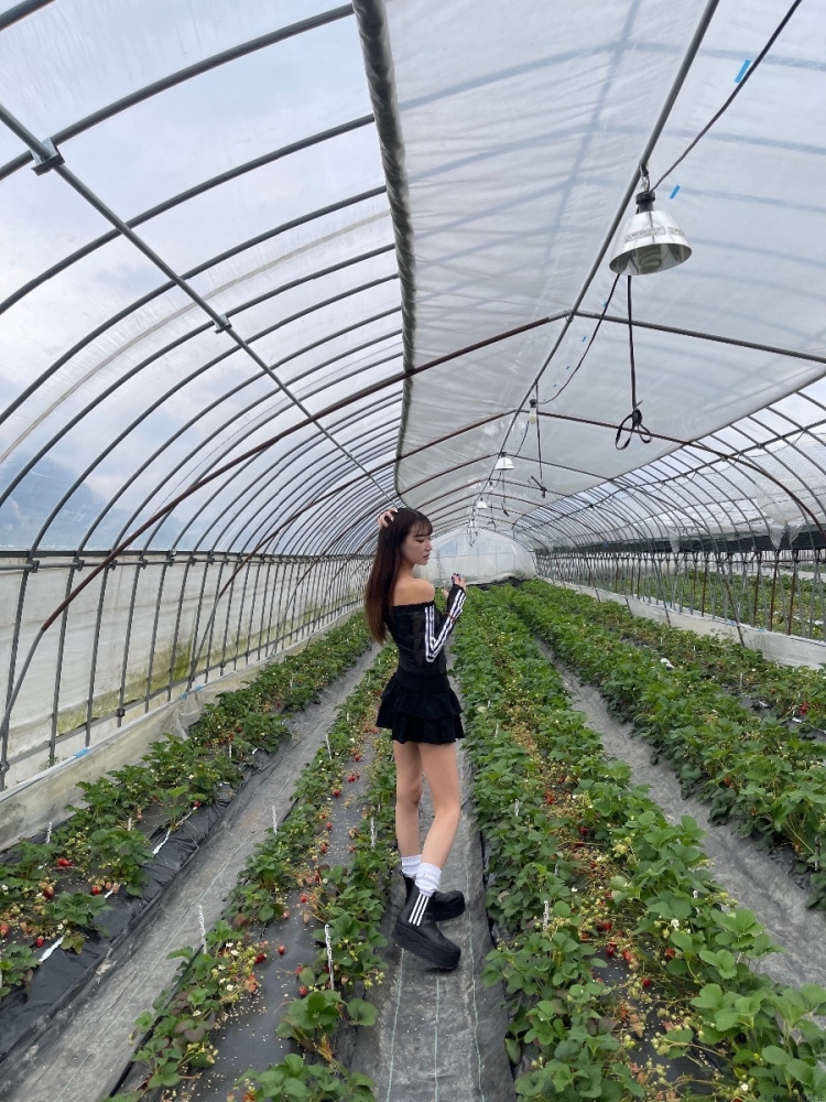 新着女の子ブログ画像