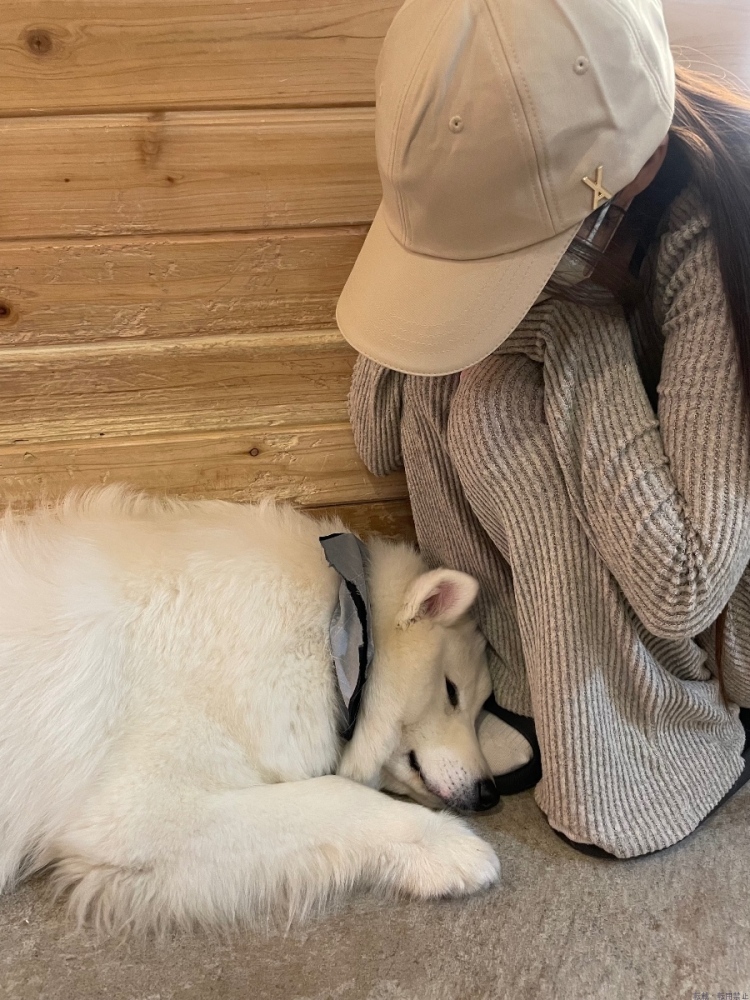 新着女の子ブログ画像