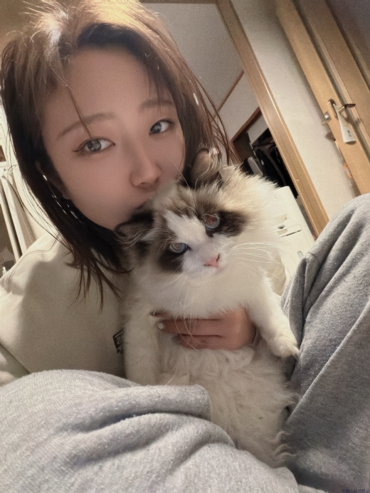 女の子ブログ画像