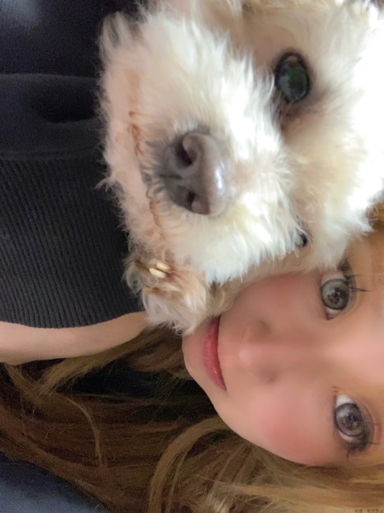 女の子ブログ画像