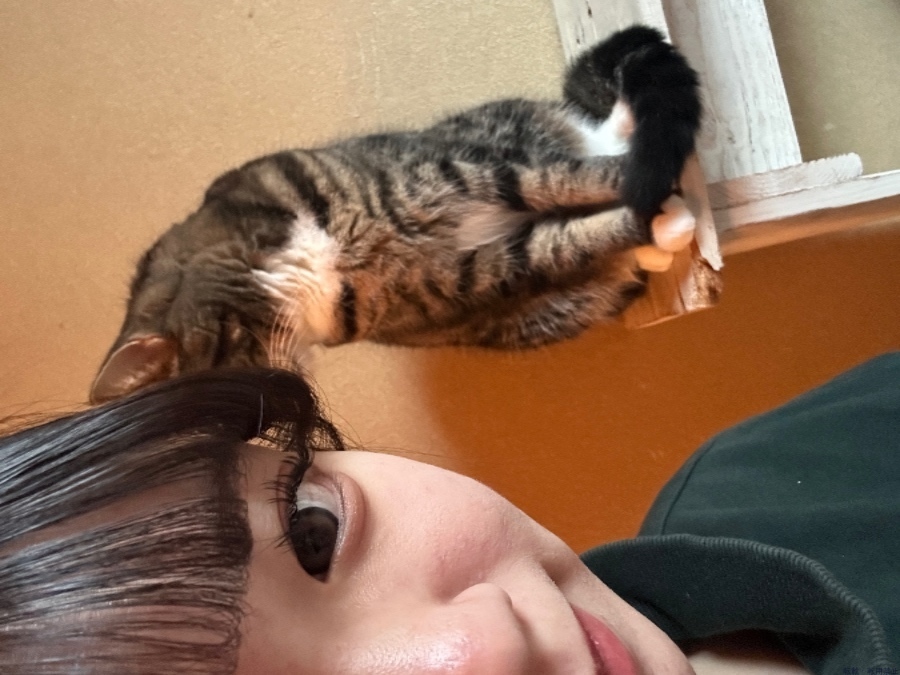 女の子ブログ画像