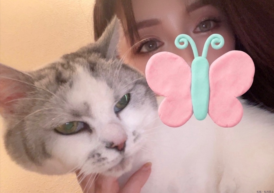 女の子ブログ画像