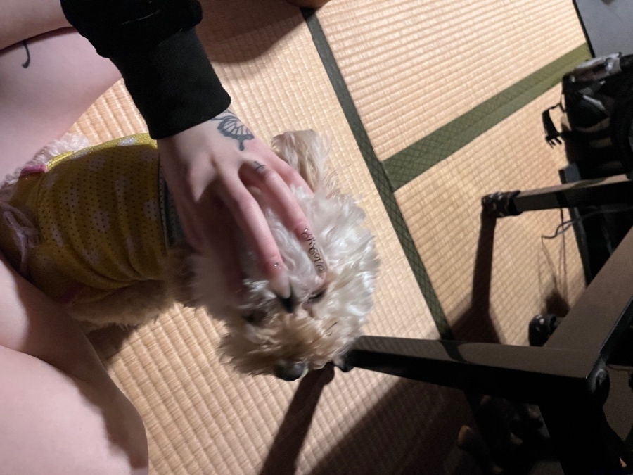 新着女の子ブログ画像