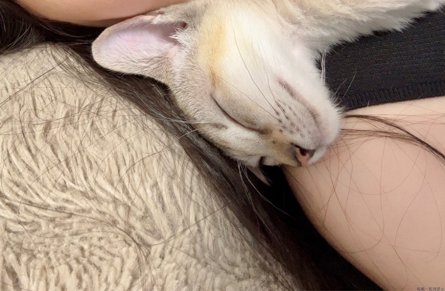 女の子ブログ画像