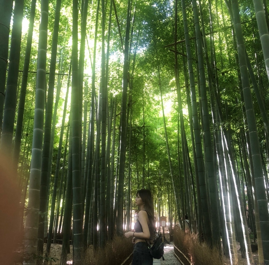 女の子ブログ画像
