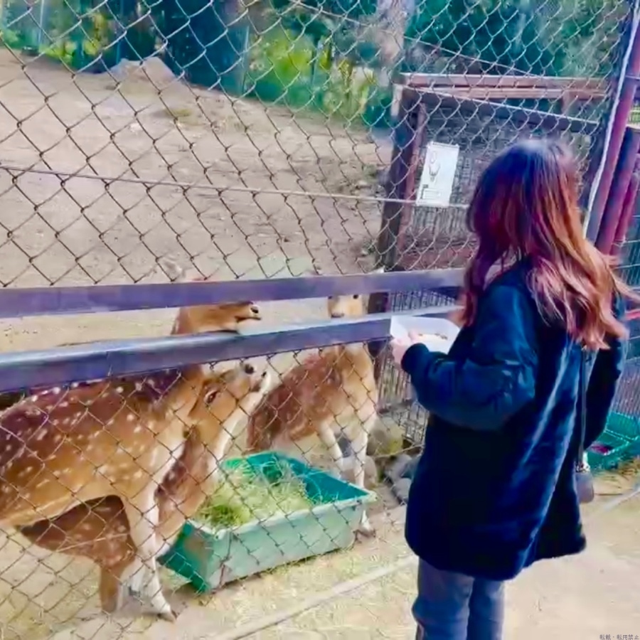 新着女の子ブログ画像