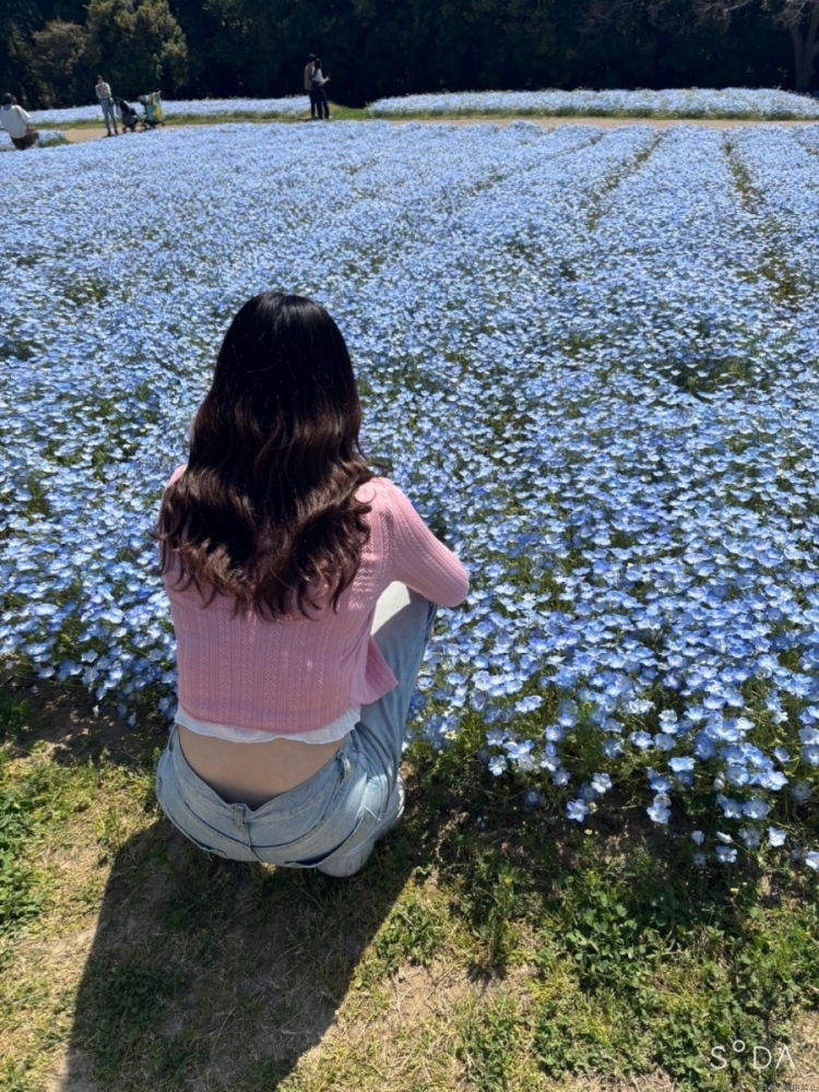 女の子ブログ画像