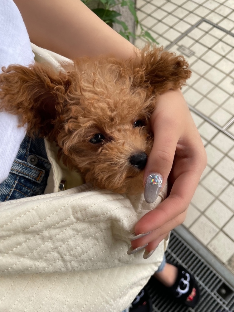 新着女の子ブログ画像