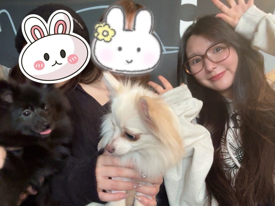 女の子ブログ画像