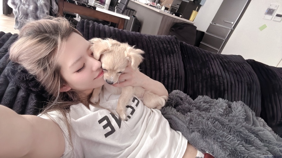 女の子ブログ画像