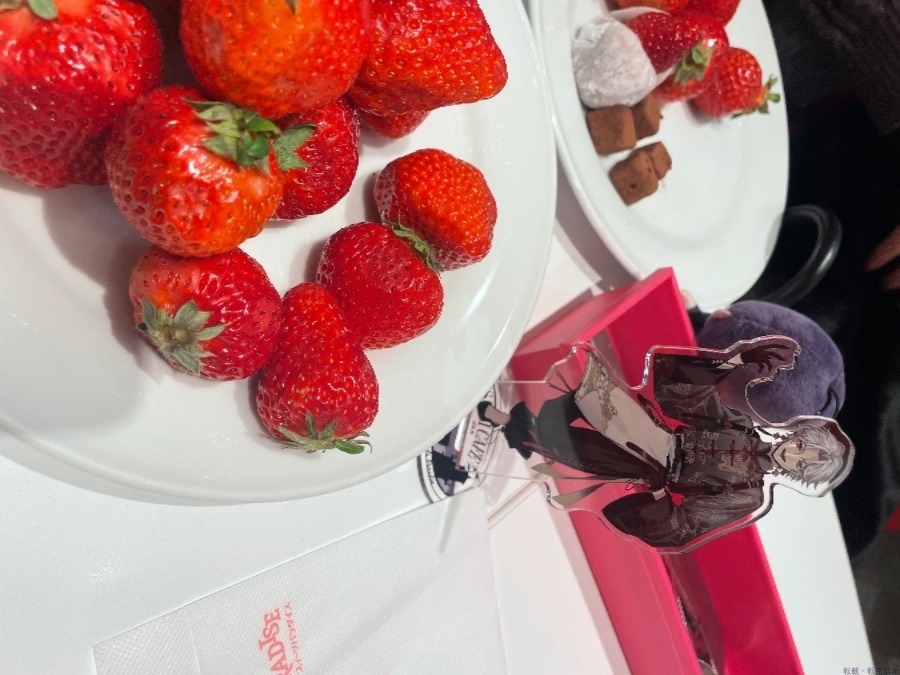 新着女の子ブログ画像