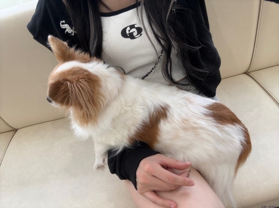 女の子ブログ画像