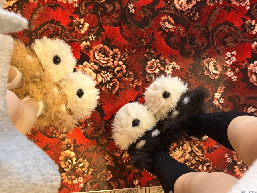 女の子ブログ画像